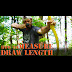 How To Measure Arrow Length Recurve Bow