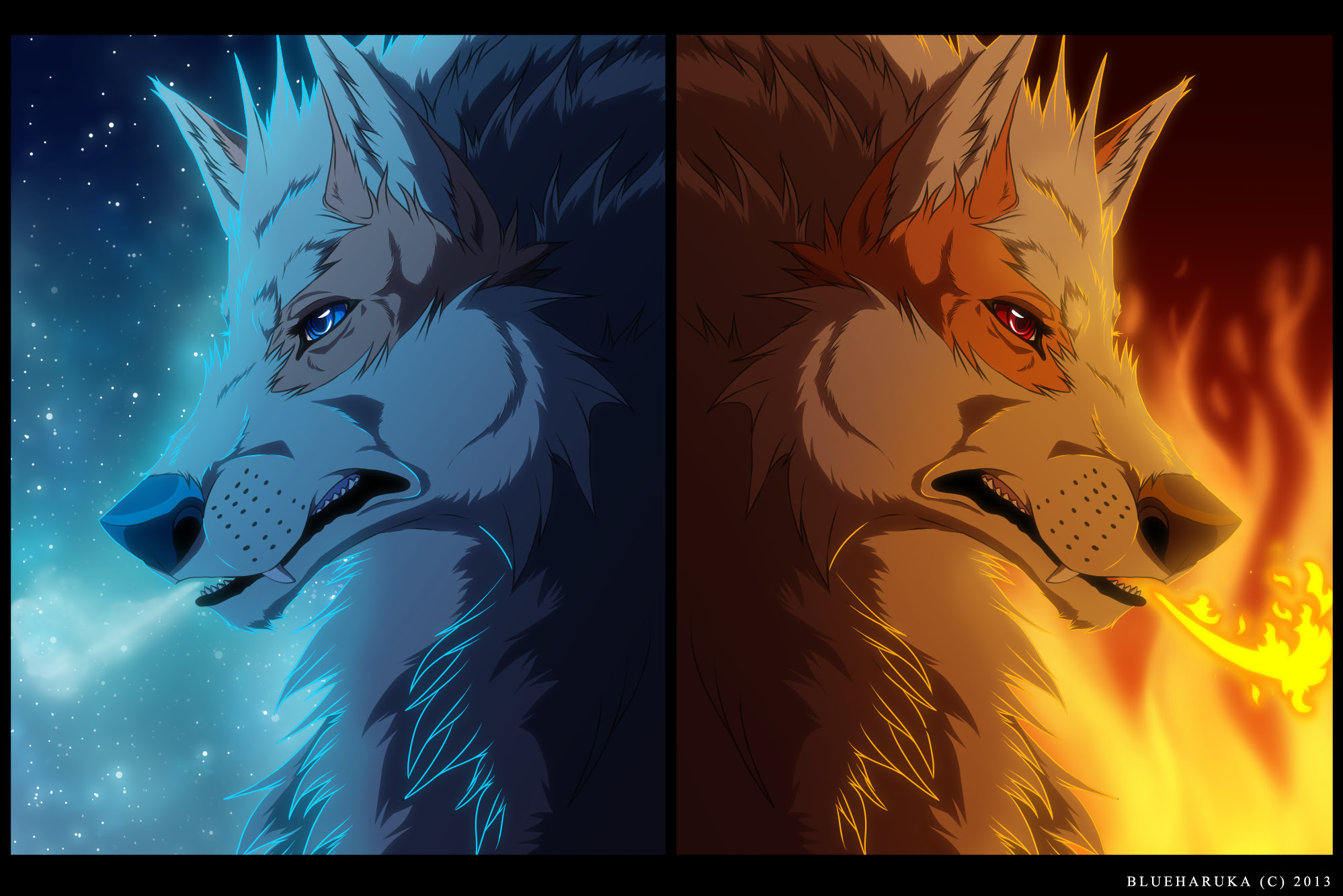 Fire And Ice Wolf Wallpaper 66 Images