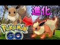 √完了しました！ ブースター ポケモン シャワーズ 125796