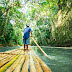 Jamaica - Flor de Jamaica: conoce sus poderosas propiedades ... / Jamaica vacation rentals jamaica vacation packages flights to jamaica jamaica restaurants things to do in jamaica jamaica.