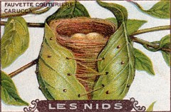 les nids 9