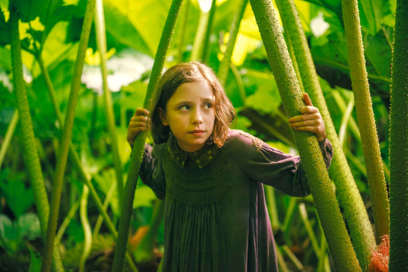 Bild von Der geheime Garten - Bild 15 auf 19 - FILMSTARTS.de