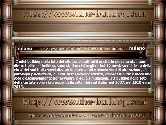 4abbondandolomichele4k2ab2d4em.jpg