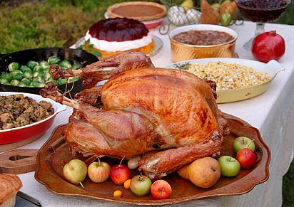 Top Turkey Deals Publix Winn Dixie Butterball More Southern Savers