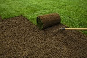lawn-care-1-300x200.jpg