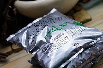 立ち上がれ龍王達 私の未熟さを後悔します I Regret The Inexperience