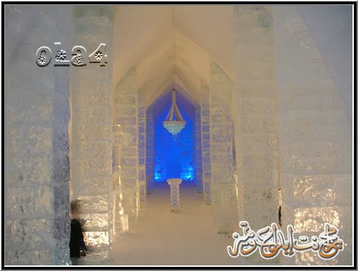 صور اغرب ثلاث فنادق في