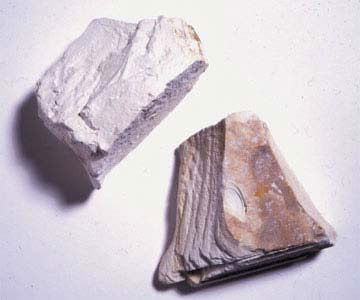 kaolin clay | Tacky Harper's Cryptic Clues
