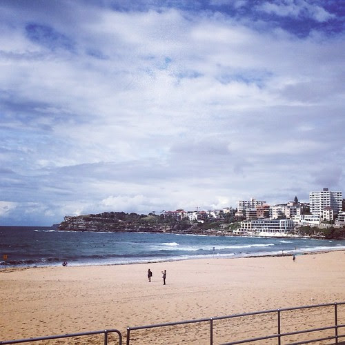 Bondi farmers market nob 2013
