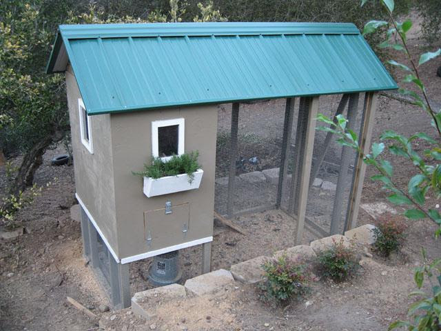 Casefarms's Chicken Coop - BackYard Chickens Community