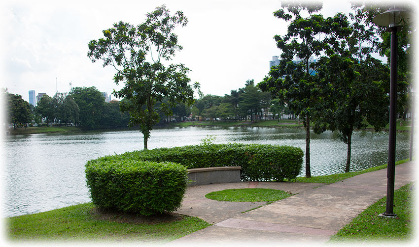 Birding Bird Watching In Kuala Lumpur June 2017