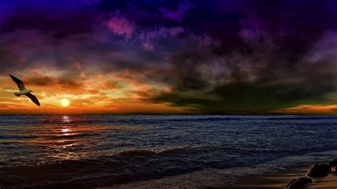 tag  full hd  editing background images
