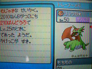 Dpt ポケトレ ヨーギラス奮闘中 ｔｏ ｐｏｋｅｄａｉｒｙ