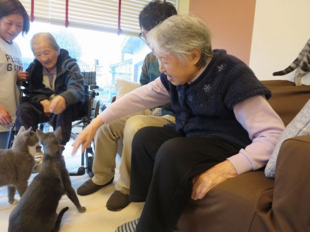 猫カフェへ 上越あたご福祉会
