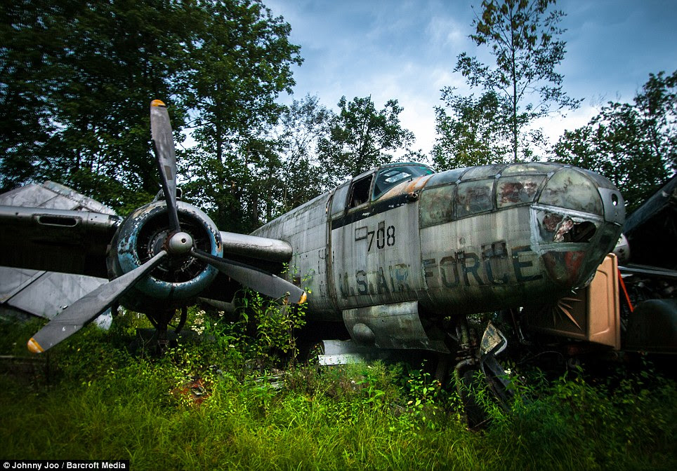 These eerie pictures show all that remains of a fleet of World War II U.S. Air Force fighter planes. With their livery almost obscured by rust and moss these abandoned metal skeletons are almost unrecognisable from the once great air crafts they were. Pictured is a B-25 Mitchell