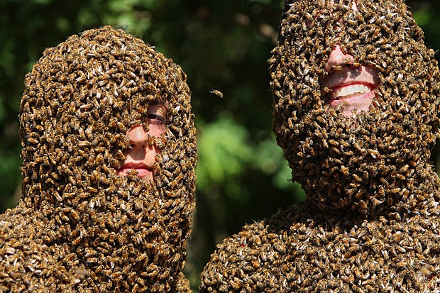 Competição anual de “barba de abelhas” em fazenda da cidade de Aulmer, província de Ontário, no Canadá, mostra dois participantes, Marenda Schipper e Patrick Boelsterli (Foto: The Canadian Press/Dave Chidley/AP)
