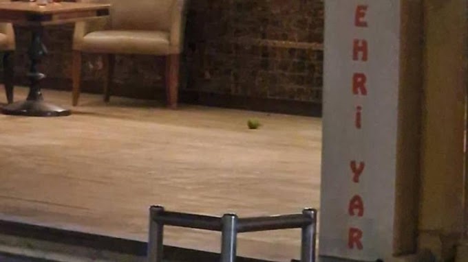    16 yaşındaki çocuk pastaneye pimi çekilmemiş el bombası attı