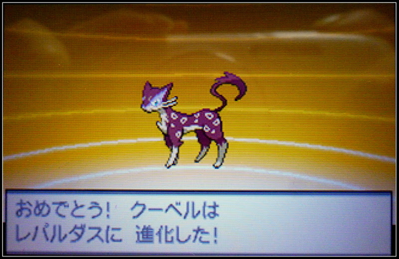 ポケモンbw2 01 色違いチョロネコ進化 Marron And Macaron
