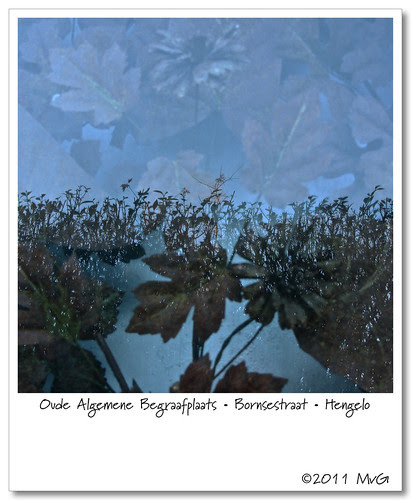 Oude Algemene Begraafplaats • Bornsestraat • Hengelo by Marcel van Gunst