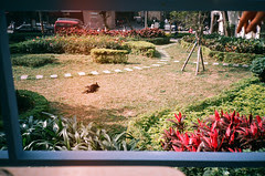 OLYMPUS XA 32nd.