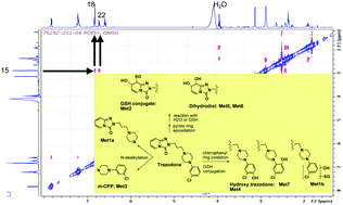 Graphical abstract: Rapid structure determination of microgram-level drug metabolites using HPLC-MS, fraction collection and NMR spectroscopy