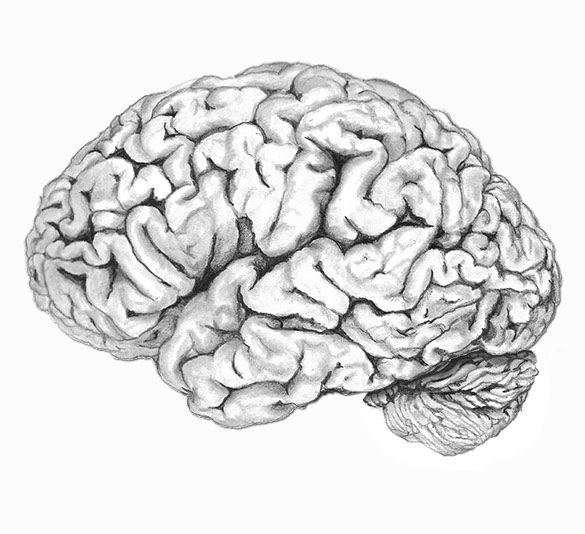 About the Artist - erinneill.com