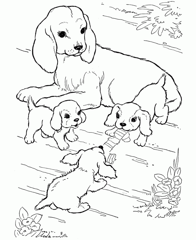 Download Cat and dog coloring pages to download and print for free