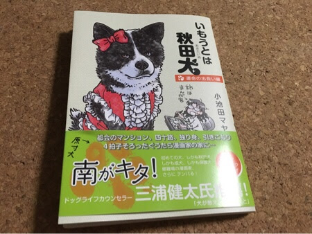 いもうとは秋田犬 がやってきた Linga