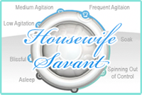 Housewife Savant
