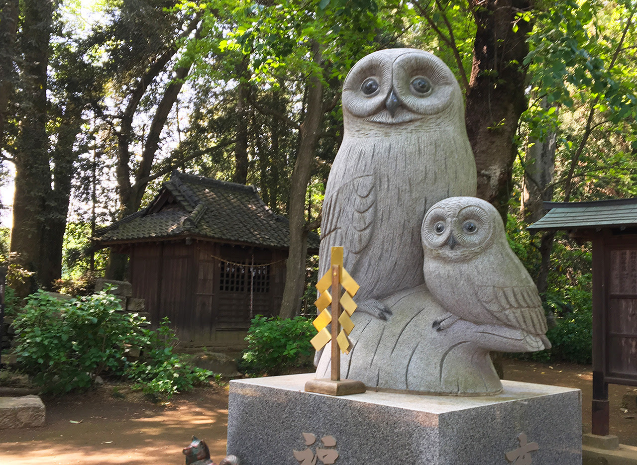 野鳥動画フィールドノート フクロウカテゴリのエントリ