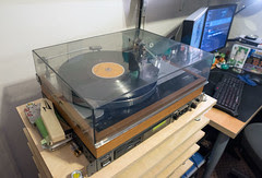 Welcome to Flickr Hive Mind. If you log into Flickr you will see your 