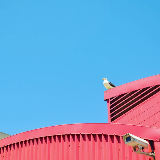 Vaizdas