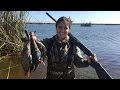 Duck. Duck. OTTER! (Catch and Cook with Brook #5!)