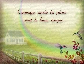 Citation