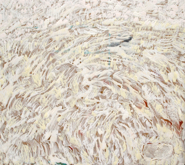 unknown land, frank waaldijk, 2010