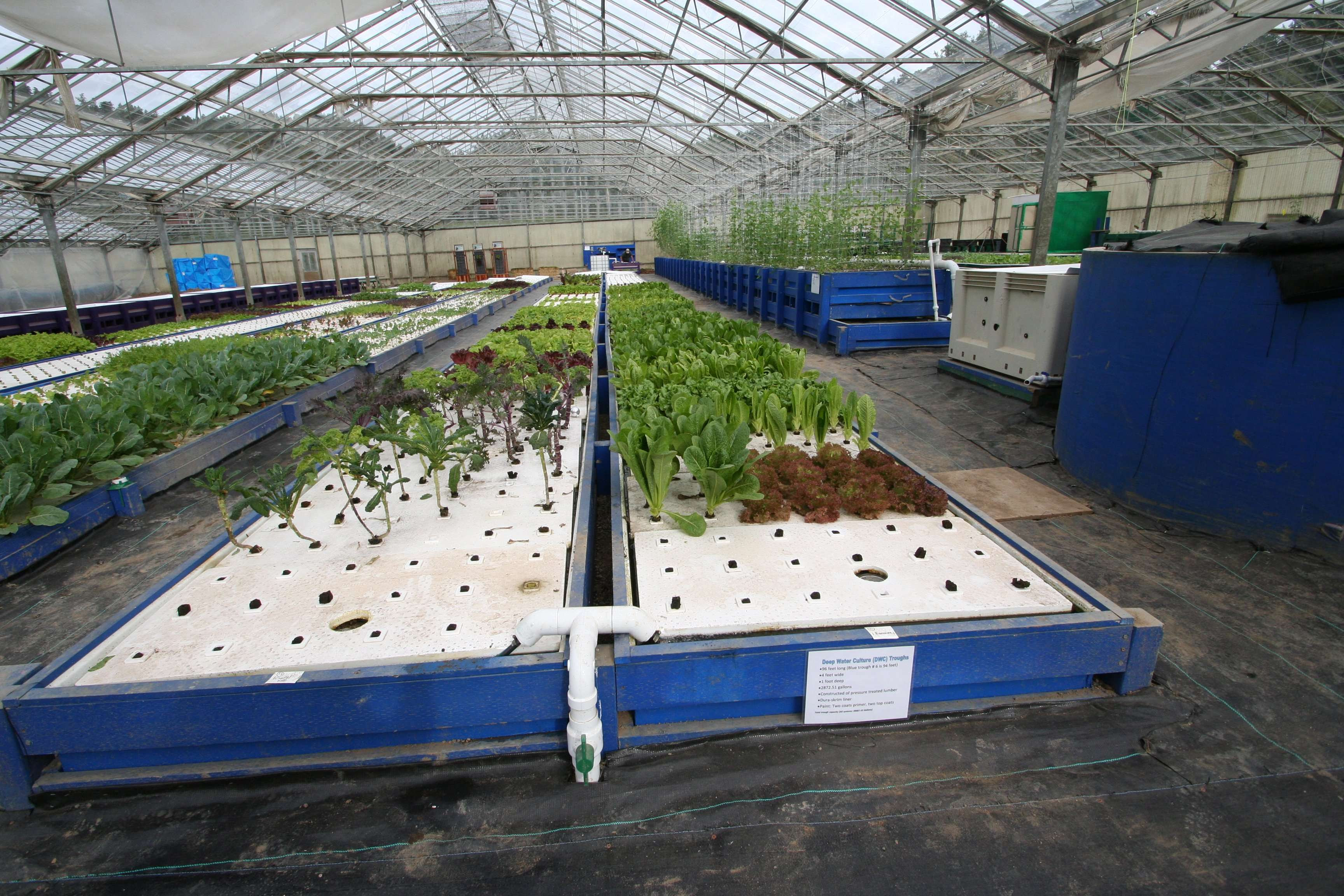 ouroboros farms in pescadero ca northern california aquaponics farm ...