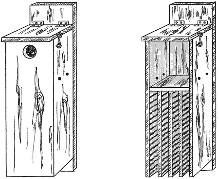 Bat House Plans Free Bat House Plans