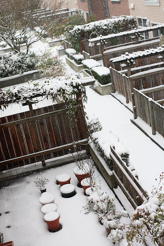 Snowy Apartments