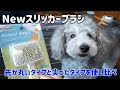 [新しいコレクション] 丸い 犬 129588-丸井 犬