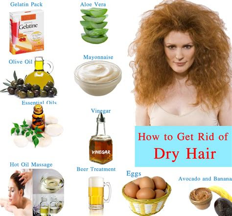 dry damaged hair care tips home remedies  dry hair