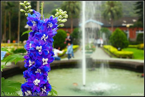 DSC02026