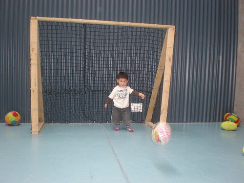 Budding Goalie