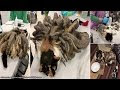 Rescued cat with dreadlocks loses 2 pounds of matted fur