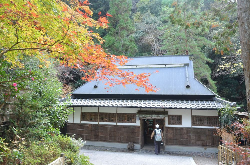 大阪箕面公園賞楓 私旅誌travelnling