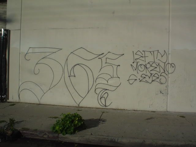 bloods knowledge street gang