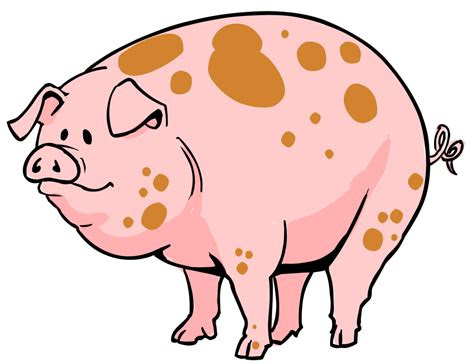 pig cartoon image clipartsco