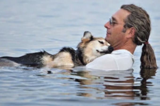 人間と犬の間に友情は確かに存在する ある男性と老犬の感動ストーリー Petfun 動物やペットに関する情報サイト