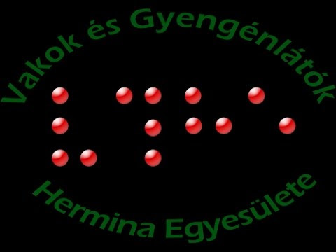 Kép