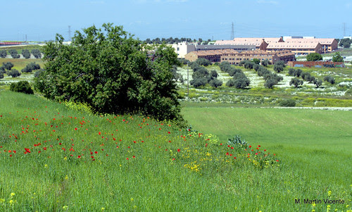 las afueras: vista al norte