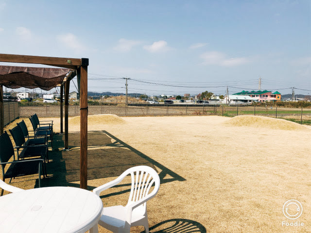 ワンちゃんも大喜び ドッグラン カフェicoi いこい で一緒に遊ぼう みやざき情報まとめ
